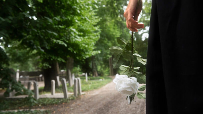 Nature et souvenir : créer un lieu de mémoire en plein air